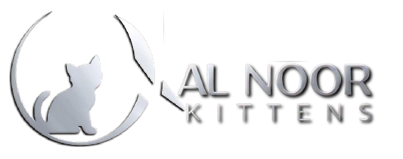 kittens for sale